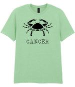 Cancer t-shirt in mint