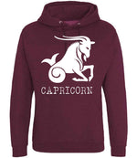 Capricorn hoodie in burgundy smoke