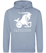 Capricorn hoodie in dusty blue