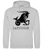Capricorn hoodie in moondust grey