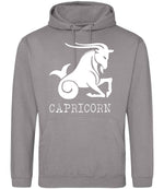 Capricorn hoodie in platinum grey