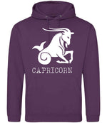 Capricorn hoodie in plum