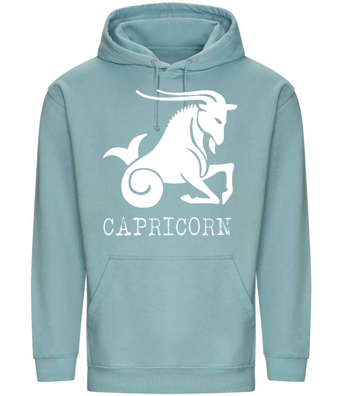 Capricorn hoodie in seafoam