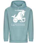 Capricorn hoodie in seafoam