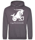 Capricorn hoodie in steel grey