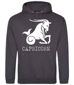 Capricorn hoodie in storm grey