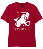 Capricorn t-shirt in antique cherry red