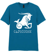 Capricorn t-shirt in antique sapphire