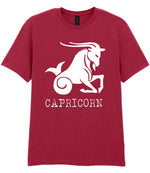 Capricorn t-shirt in cardinal red