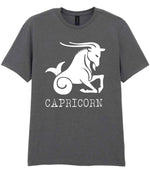Capricorn t-shirt in charcoal