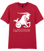 Capricorn t-shirt in cherry red