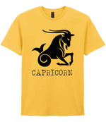 Capricorn t-shirt in daisy