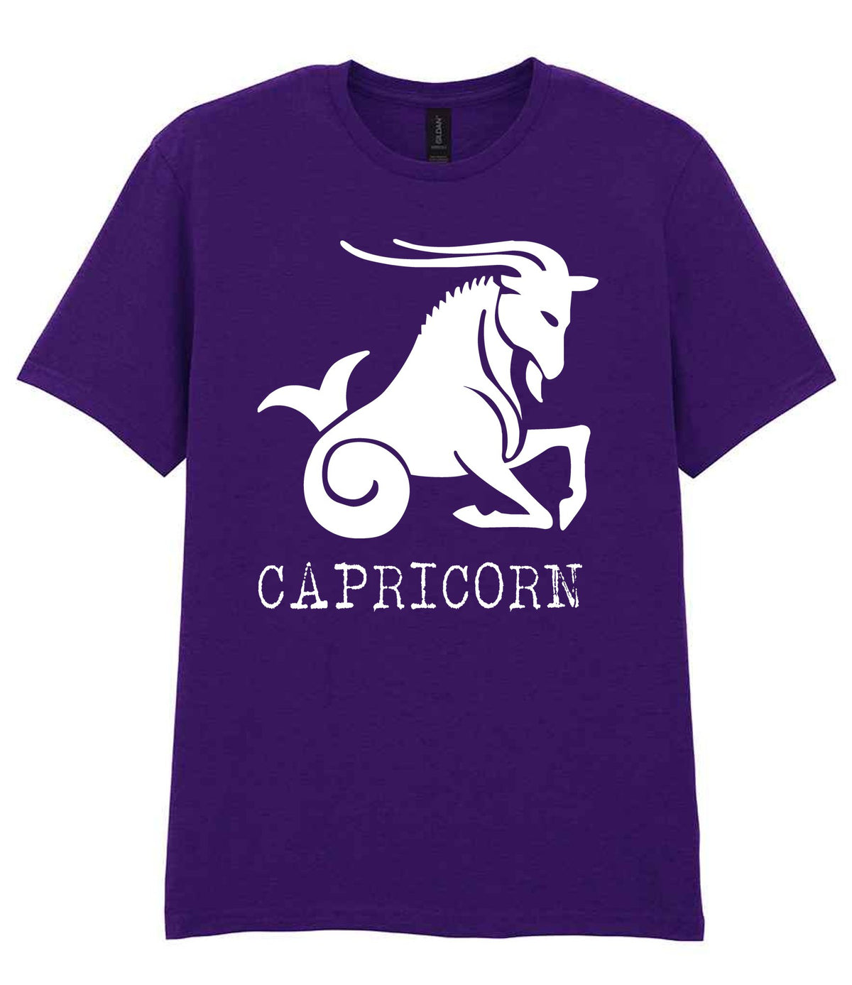Capricorn t-shirt in fan dark purple