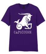 Capricorn t-shirt in fan dark purple