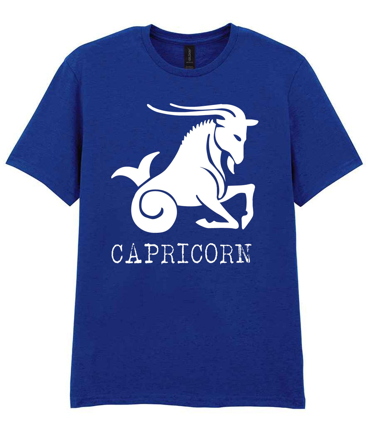 Capricorn t-shirt in fan deep royal