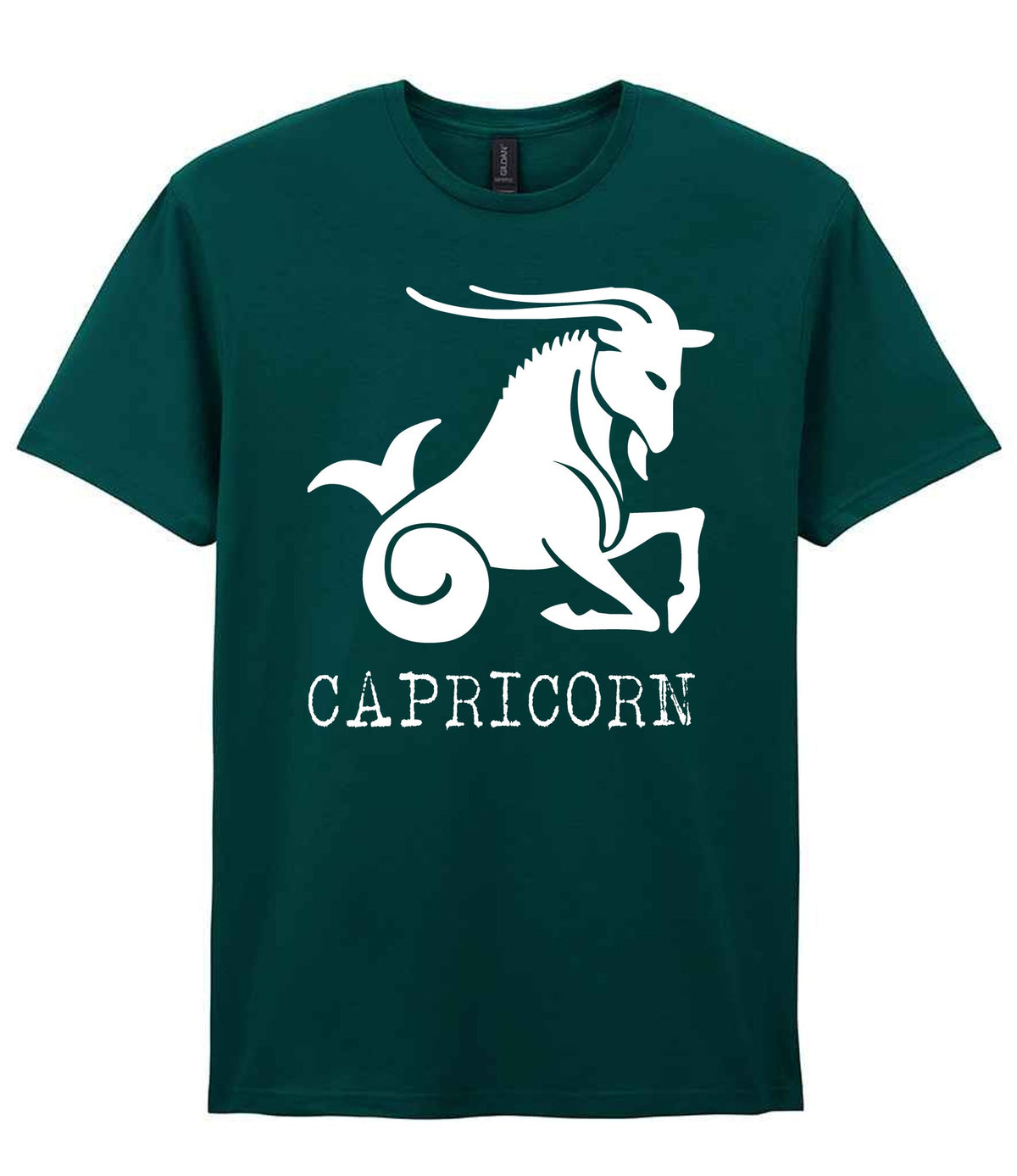 Capricorn t-shirt in fan marine green
