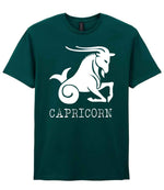 Capricorn t-shirt in fan marine green