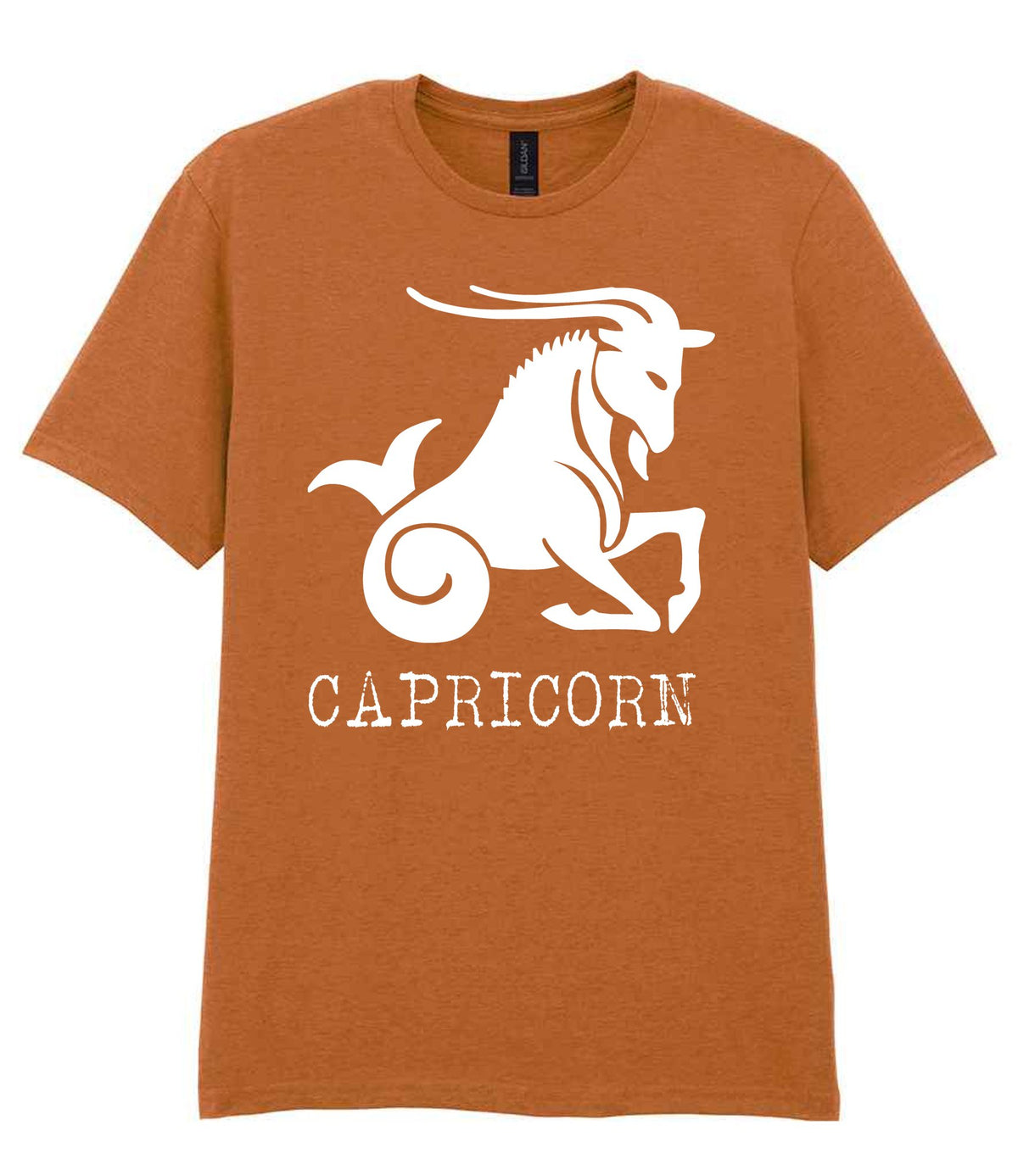 Capricorn t-shirt in fan texas orange