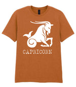 Capricorn t-shirt in fan texas orange