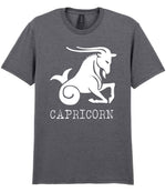Capricorn t-shirt in graphite heather