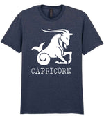 Capricorn t-shirt in heather navy