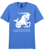 Capricorn t-shirt in heather royal