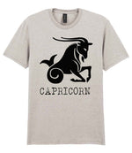 Capricorn t-shirt in ice grey