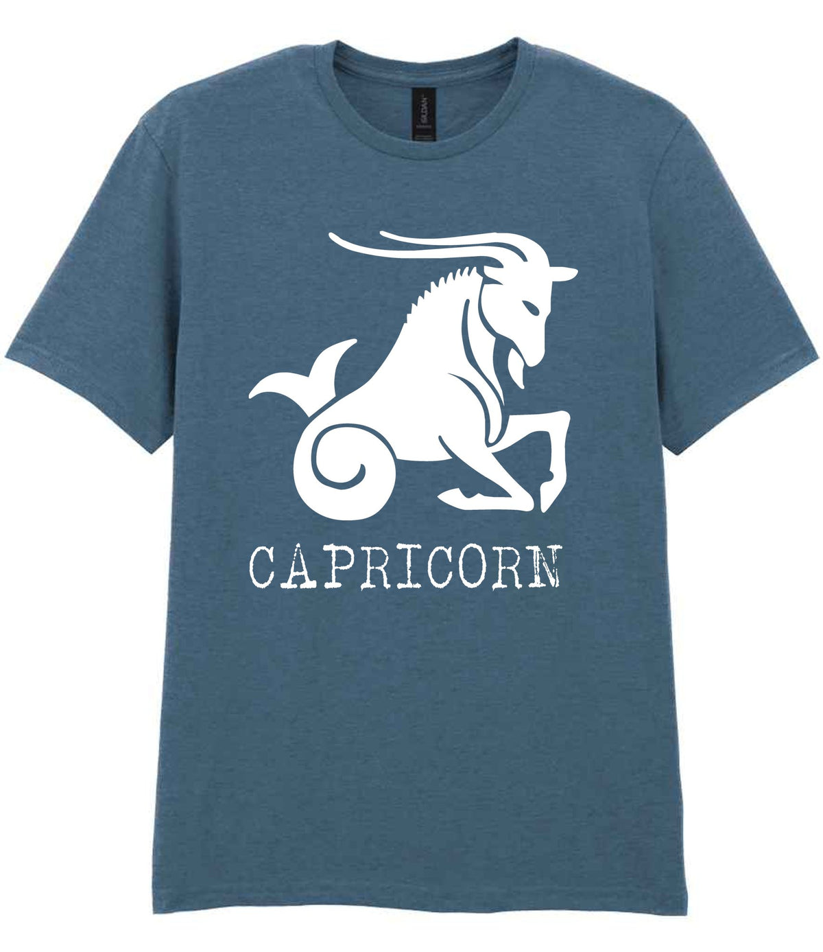 Capricorn t-shirt in indigo