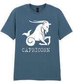 Capricorn t-shirt in indigo