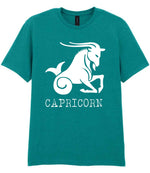 Capricorn t-shirt in jade dome