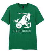 Capricorn t-shirt in kelly green