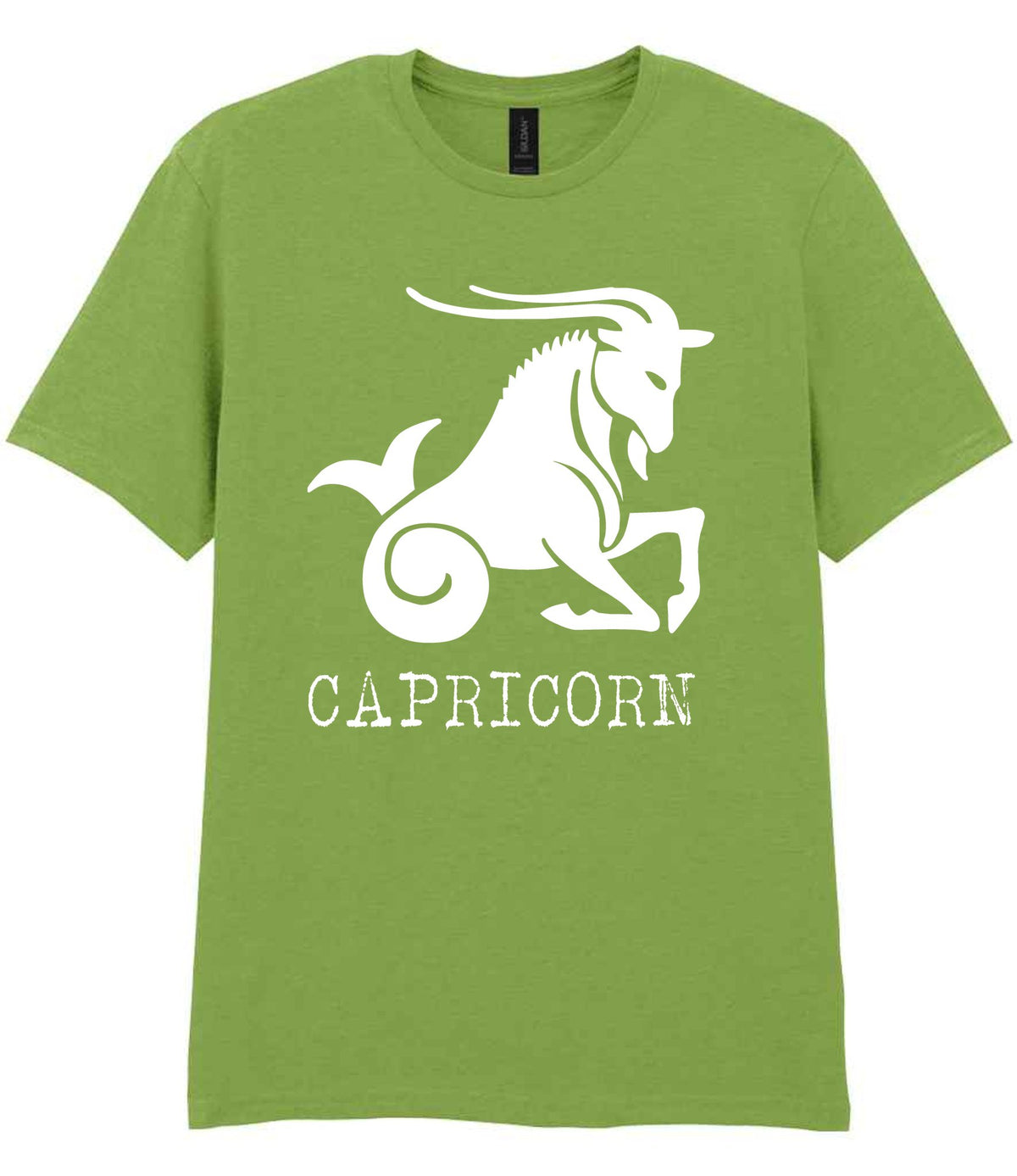 Capricorn t-shirt in kiwi