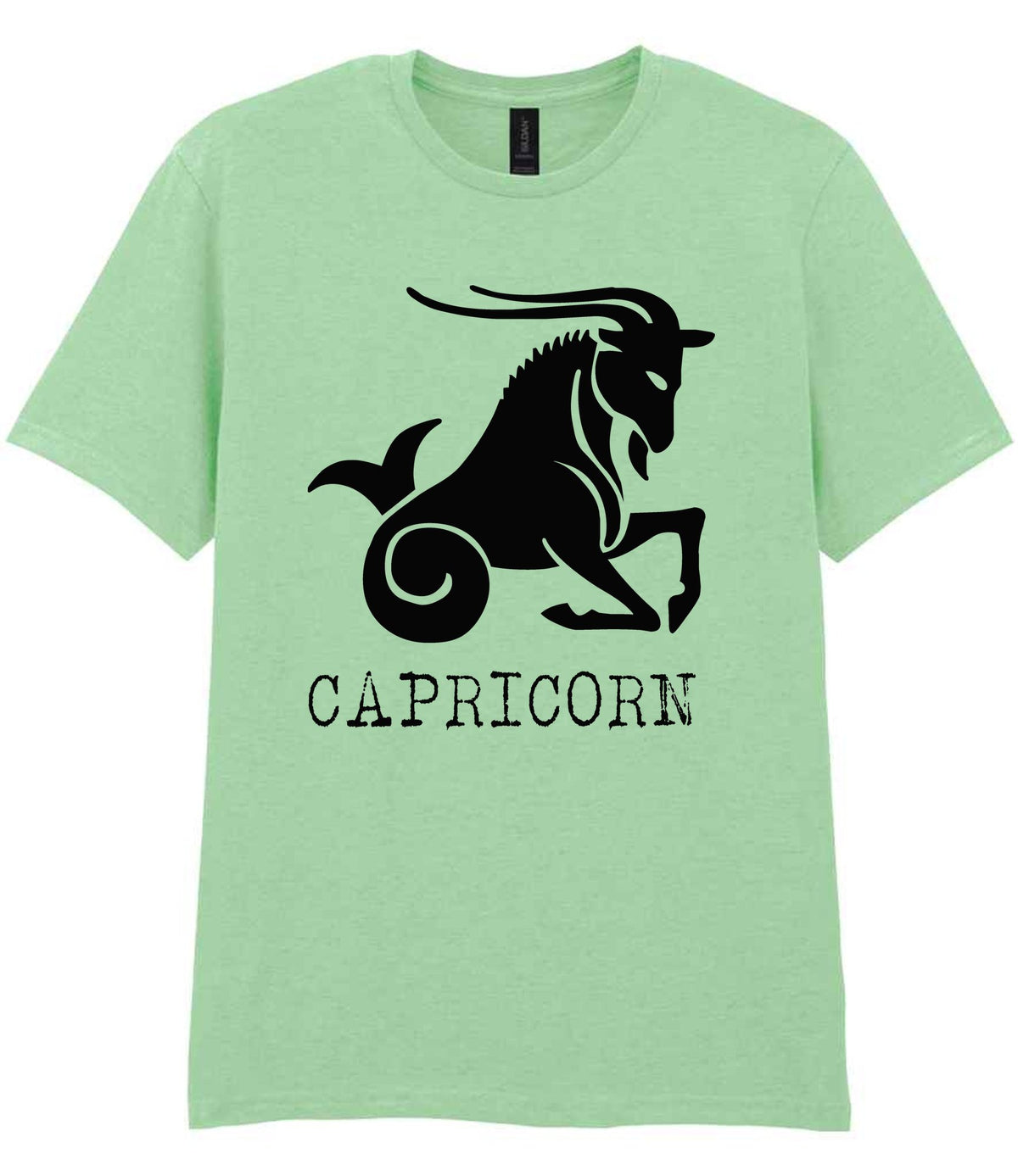 Capricorn t-shirt in mint