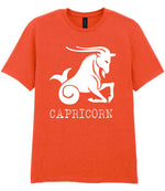 Capricorn t-shirt in orange