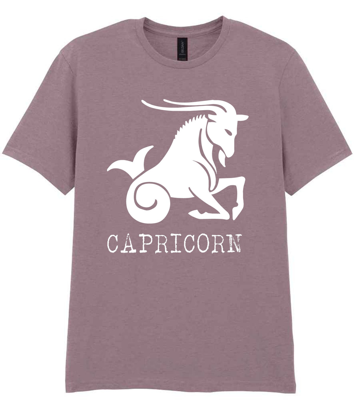 Capricorn t-shirt in paragon