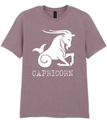 Capricorn t-shirt in paragon