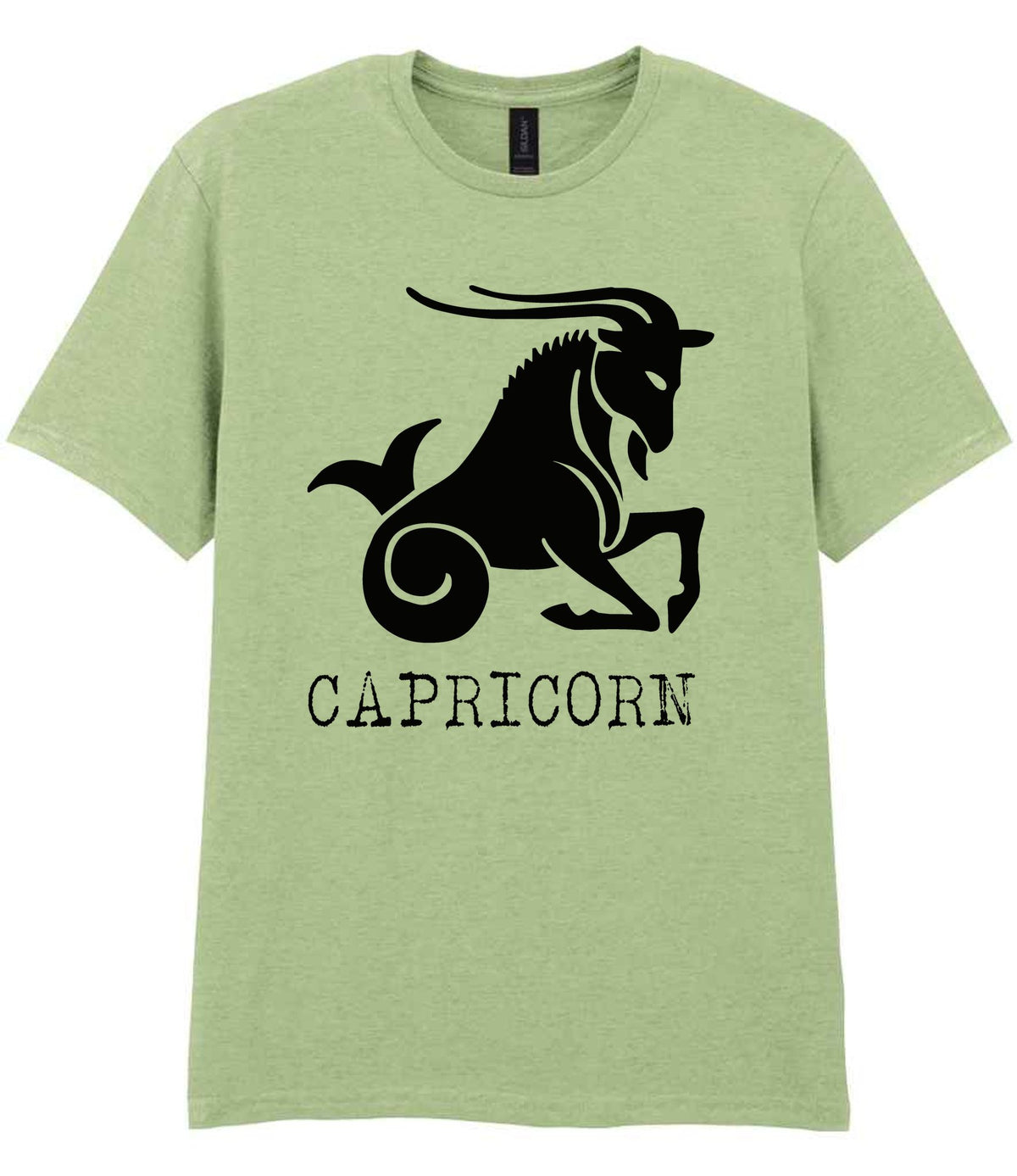 Capricorn t-shirt in pistachio