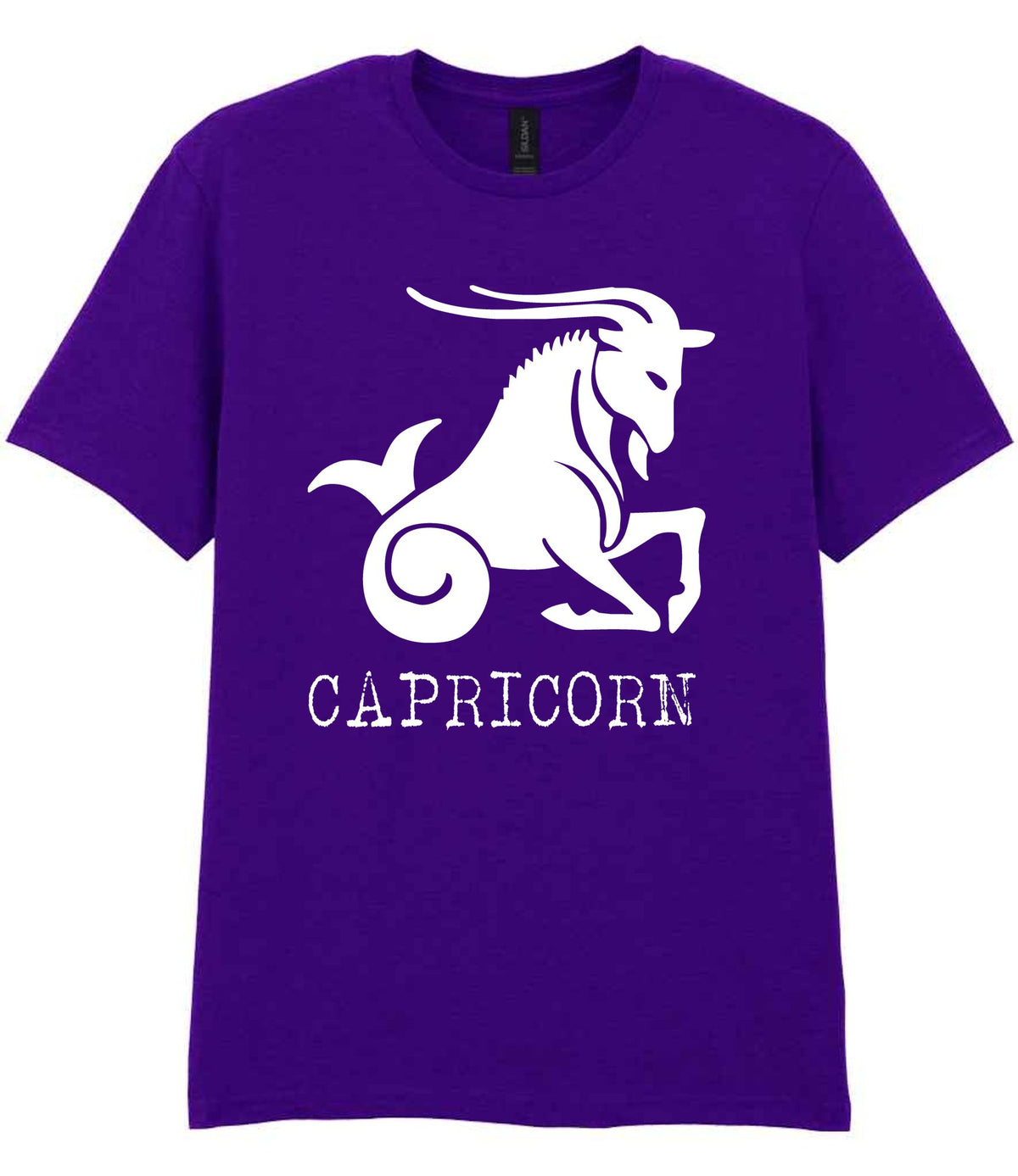 Capricorn t-shirt in purple