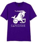 Capricorn t-shirt in purple