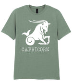 Capricorn t-shirt in sage