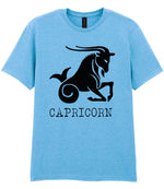 Capricorn t-shirt in sky blue