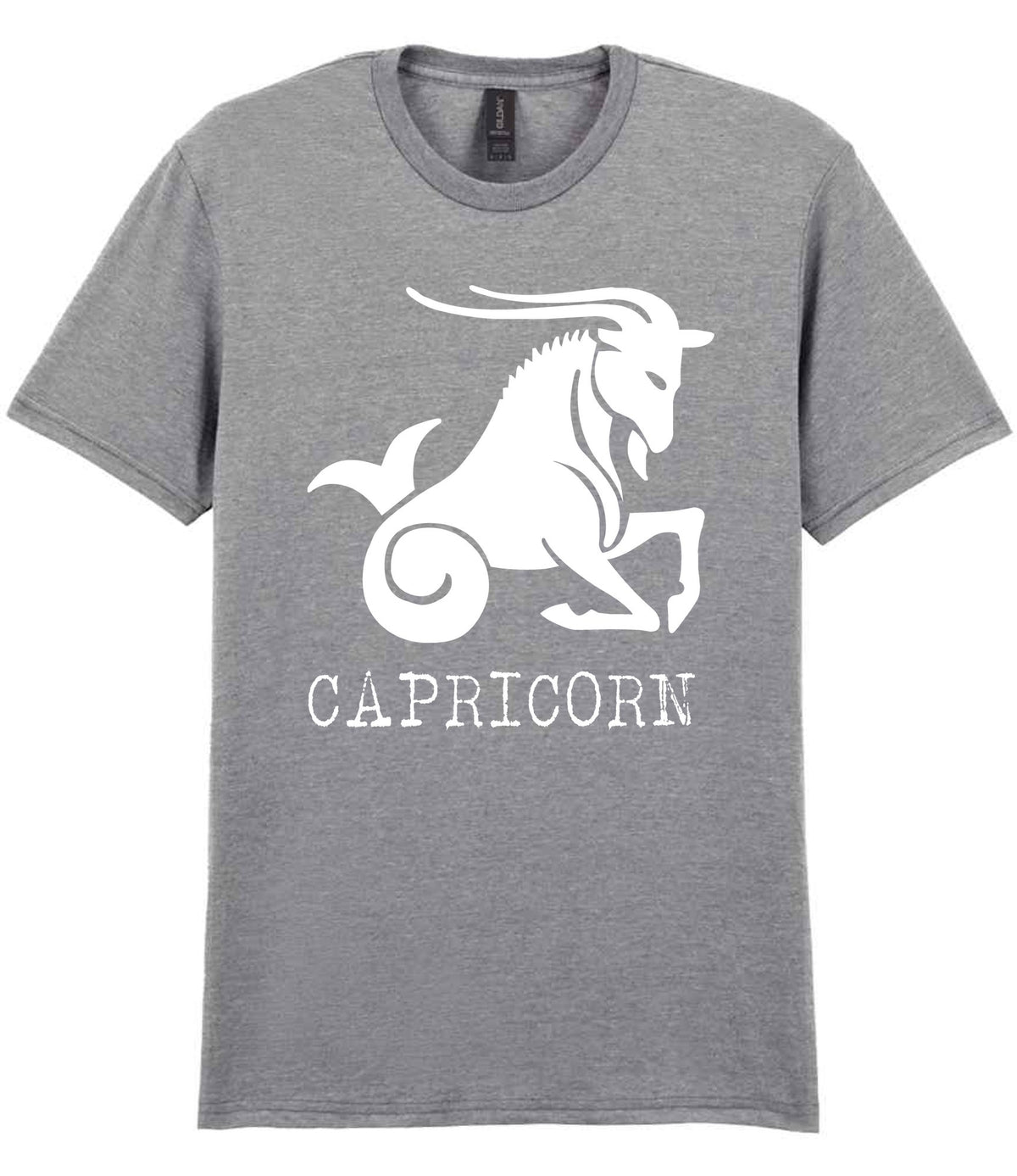 Capricorn t-shirt in sport grey