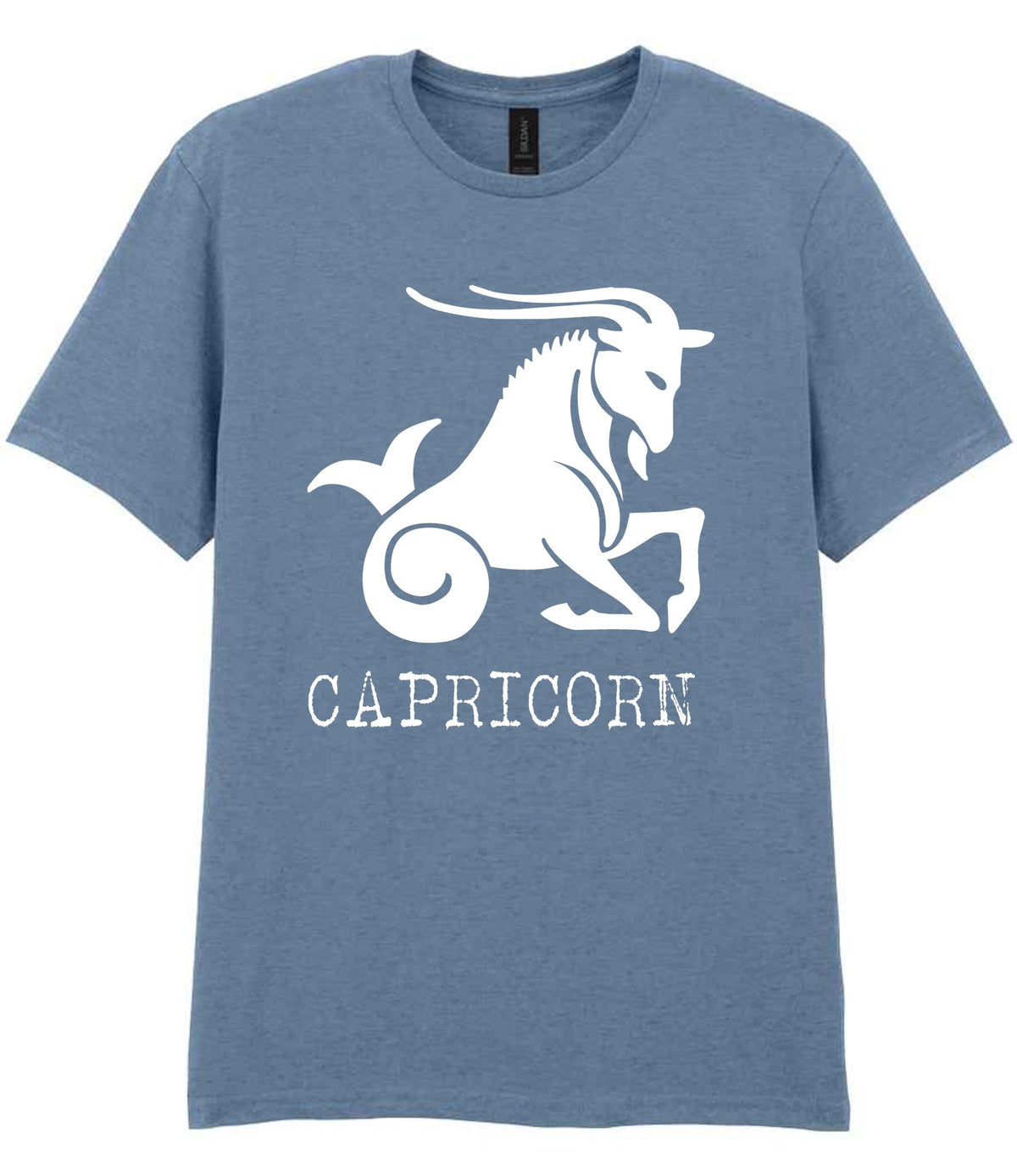 Capricorn t-shirt in stone blue
