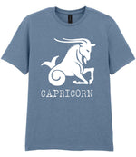 Capricorn t-shirt in stone blue