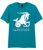 Capricorn t-shirt in tropical blue