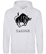 Taurus hoodie in ash