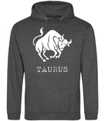 Taurus hoodie in charcoal