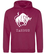 Taurus hoodie in cranberry