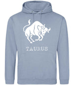 Taurus hoodie in dusty blue