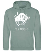Taurus hoodie in dusty green